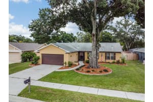 9909 Weiskopf Dr, New Port Richey, FL 34655, Sold 10/03/22