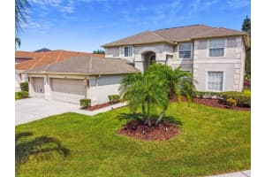 1822 Pink Guara Ct, Trinity, FL 34655, Sold 11/09/22