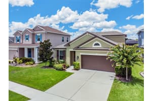 4817 Rolling Greene Dr, Wesley Chapel, FL 33543, Sold 10/14/22
