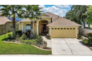 20341 Falling Rock Dr, Land O' Lakes, FL 34638, Sold 09/12/22
