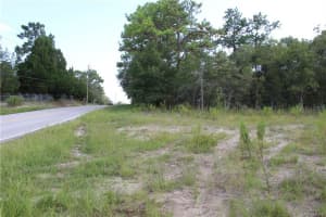 6479 BARCLAY AVENUE, SPRING HILL, FL 34609 Sold 12/17/24