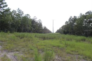 6479 BARCLAY AVENUE, SPRING HILL, FL 34609 Sold 12/17/24