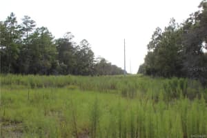 6479 BARCLAY AVENUE, SPRING HILL, FL 34609 Sold 12/17/24