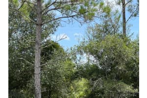 0 DEER PL, NORTH PORT, FL 34288 - MLS#MFRU8173979