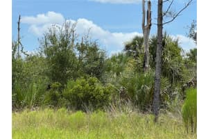 0 DEER PL, NORTH PORT, FL 34288 - MLS#MFRU8173979