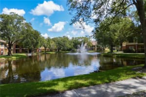 8655 Fancy Finch Dr, Tampa, FL 33614, Sold 09/12/22