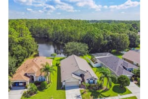 14429 Pepperpine Dr, Tampa, FL 33626, Sold 11/18/22