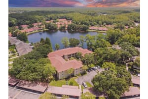 3423 Mermoor Dr, Palm Harbor, FL 34685, Sold 09/30/22