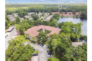 3423 Mermoor Dr, Palm Harbor, FL 34685, Sold 09/30/22