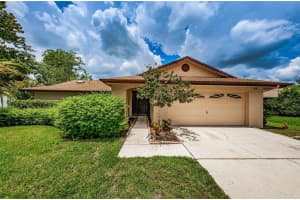 9825 STEPHENSON DR, NEW PORT RICHEY, FL 34655 Sold 10/31/22