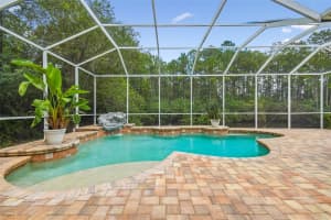 12935 TAR FLOWER DR, TAMPA, FL 33626 Sold 02/17/23