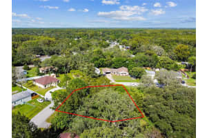 12410 CLEAR LAKE DRIVE, NEW PORT RICHEY, FL 34654 - MLS#MFRU8175335