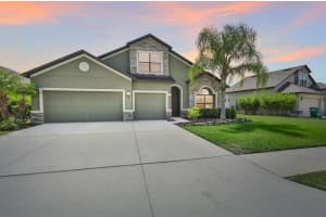 6722 WILD ELM CT, WESLEY CHAPEL, FL 33545 Sold 03/15/23