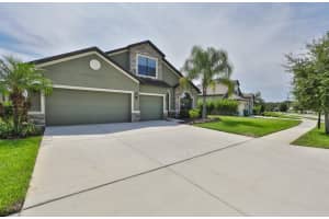 6722 WILD ELM CT, WESLEY CHAPEL, FL 33545 Sold 03/15/23