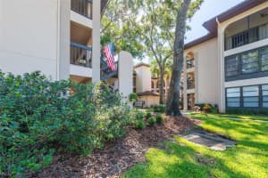 3399 MERMOOR DR #206, PALM HARBOR, FL 34685 Sold 01/12/23