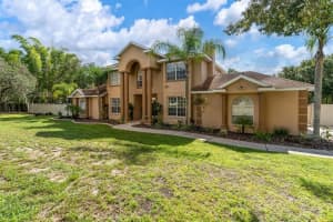 11302 HOOT OWL CT, RIVERVIEW, FL 33569 Sold 02/22/23