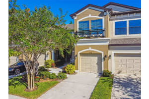 11726 Crowned Sparrow Ln, Tampa, FL 33626, Sold 01/27/23