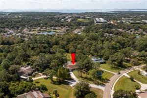 12516 Twin Branch Acres Rd, Tampa, FL 33626, Sold 02/02/23