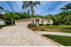 1092 COPELAND CT, TARPON SPRINGS, FL 34688 Sold 11/18/22