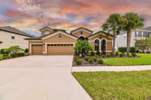 19537 Hayden Lake Ct, Land O' Lakes, FL 34638, Sold 01/06/23