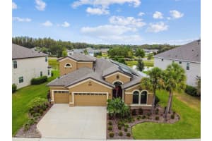 19537 Hayden Lake Ct, Land O' Lakes, FL 34638, Sold 01/06/23