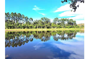 9042 LAKE CHASE ISLAND WAY, TAMPA, FL 33626 Sold 12/01/22
