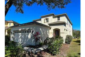19819 TIMBERBLUFF DR, LAND O LAKES, FL 34638 Sold 12/21/22