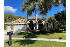 4494 Fallbrook Blvd, Palm Harbor, FL 34685, Sold 01/18/23