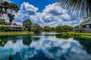 1028 S Pointe Alexis Dr, Tarpon Springs, FL 34689, Sold 01/17/23