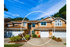 3053 OVERLOOK PL, CLEARWATER, FL 33760 Sold 02/10/23