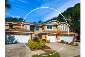 3053 OVERLOOK PL, CLEARWATER, FL 33760 Sold 02/10/23