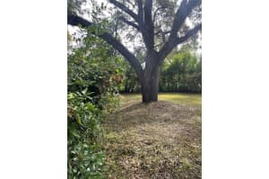 3102 W Fountain Blvd, Tampa, FL 33609, Sold 02/16/23