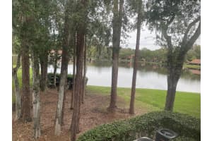 3399 MERMOOR DR #201, PALM HARBOR, FL 34685 Sold 03/15/23