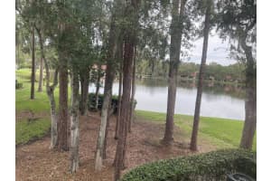 3399 MERMOOR DR #201, PALM HARBOR, FL 34685 Sold 03/15/23