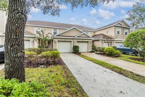 10107 TRANQUILITY WAY, TAMPA, FL 33625 Sold 04/07/23