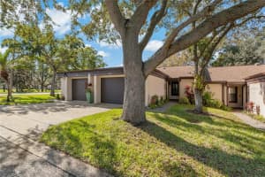 3202 Green Dolphin St, Tarpon Springs, FL 34689, Sold 12/31/22