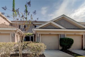 6211 Duck Key Ct, Tampa, FL 33625, Sold 01/25/23