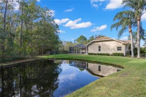 1538 HAVERHILL DR, NEW PORT RICHEY, FL 34655 Sold 01/05/23