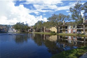 8655 FANCY FINCH DR #203, TAMPA, FL 33614 Sold 01/24/23