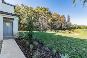 2189 Cerulean Sky Dr, Lutz, FL 33558, Sold 05/11/23