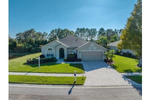 16540 NIKKI LN, ODESSA, FL 33556 Sold 03/02/23