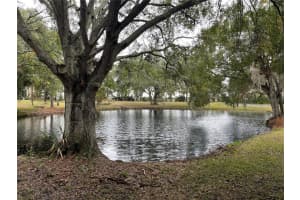 10220 RIVER PALENCIA COURT, RIVERVIEW, FL 33578 Sold 08/17/23