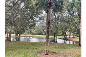 10220 RIVER PALENCIA COURT, RIVERVIEW, FL 33578 Sold 08/17/23
