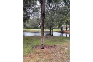 10220 RIVER PALENCIA COURT, RIVERVIEW, FL 33578 Sold 08/17/23