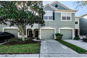 10125 HAVERHILL RIDGE DRIVE, RIVERVIEW, FL 33578 Sold 03/24/23