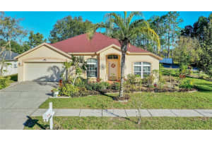 14905 GREELEY DRIVE, TAMPA, FL 33625 Sold 04/10/23