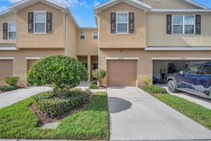 4825 WHITE SANDERLING COURT, TAMPA, FL 33619 Sold 03/02/23