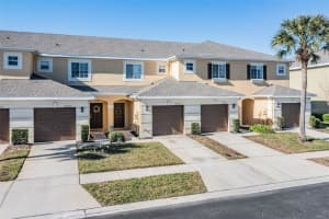 20432 NEEDLETREE DRIVE, TAMPA, FL 33647 Sold 03/03/23