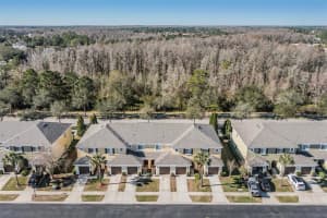 20432 NEEDLETREE DRIVE, TAMPA, FL 33647 Sold 03/03/23