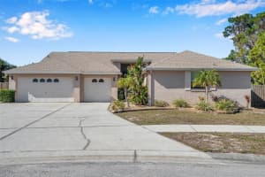 10206 AUTUMNWOOD DRIVE, HUDSON, FL 34667 Sold 03/01/23